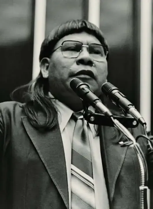 Retrato de Mário Juruna, Deputado Federal